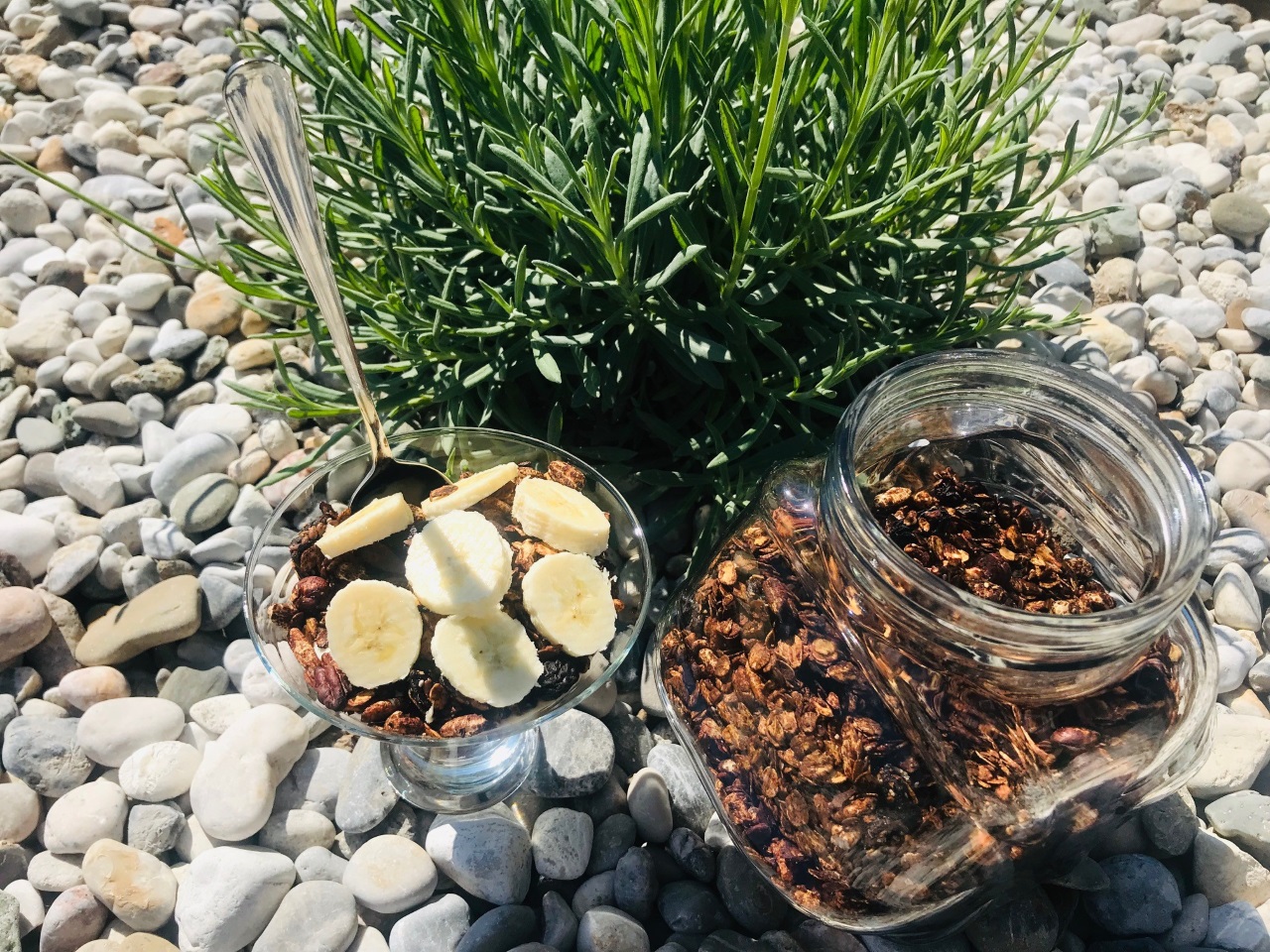 Domača granola