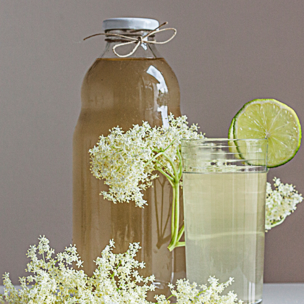 Domač bezgov sirup