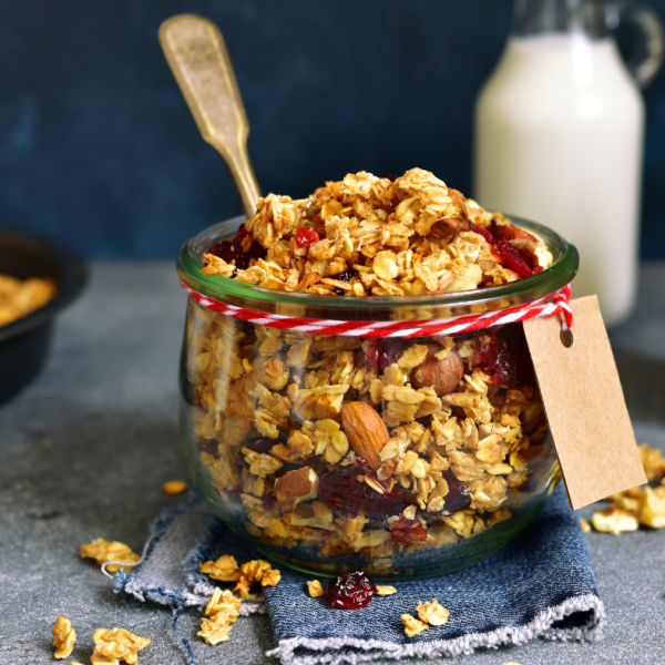 Granola z lešniki in kokosom