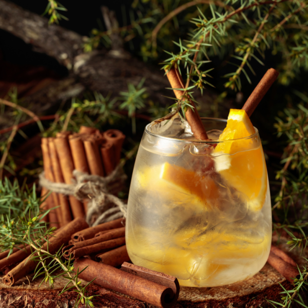 Pomarančni gin tonik s cimetom