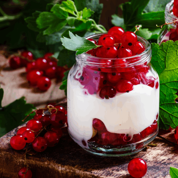 Jogurt z rdečim ribezom v kozarcu